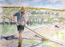 Jour 52bis : ... La morue était grassouillette, c’était pas bon pour son diabète,</BR>
elle fit une cure pendant un an au milieu des marais-salants.</BR>
Elle revint plate comme une limande, comment fit-elle, on se l’demande,</BR>
mais depuis qu’elle est en beauté, elle fait un peu trop sa sucrée...